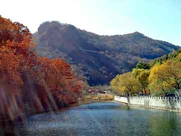 澳门二四六天天彩图库，飞鸟泛目录